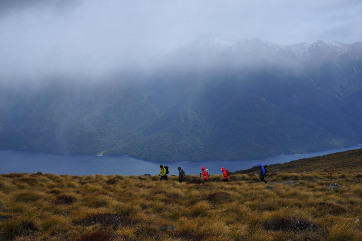 High on the Kepler Track, and everywhere in between, your local guide will safely