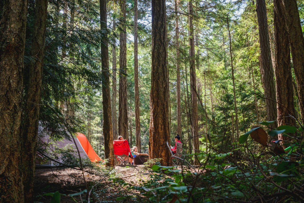 Camping family relaxing in the sun amongst the forest