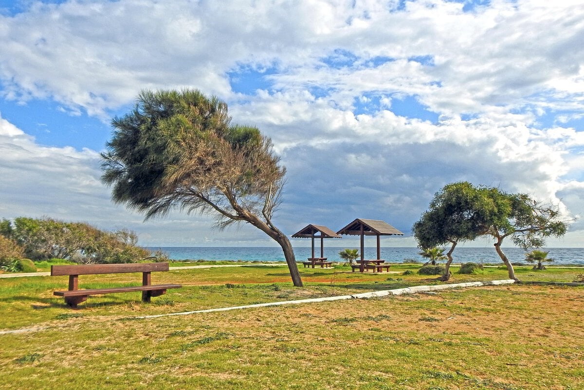 - Camping in Cyprus by Campervan: Rules, Campsites, and Life on the Road Picnic site in a park in Ayia Napa, Cyprus.
