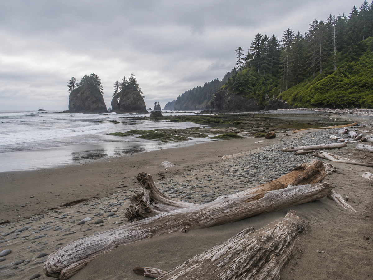 Shi Shi Beach, Washington, USA.