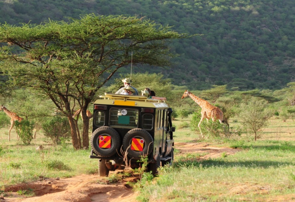 East Africa safari health preparation guide