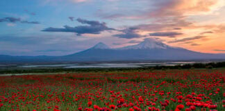 Seven Days in Armenia, Where the Past Is Still in Everyday Use Mount Ararat with poppy field.