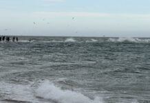 The North Jutland Road Trip That Ends Where Two Seas Collide The waves from Skagerrak and Kattegat collide with each other in Grenen, North Jutland, Denmark.