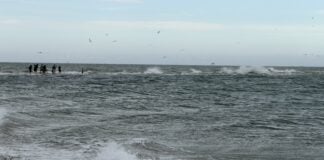 The North Jutland Road Trip That Ends Where Two Seas Collide The waves from Skagerrak and Kattegat collide with each other in Grenen, North Jutland, Denmark.
