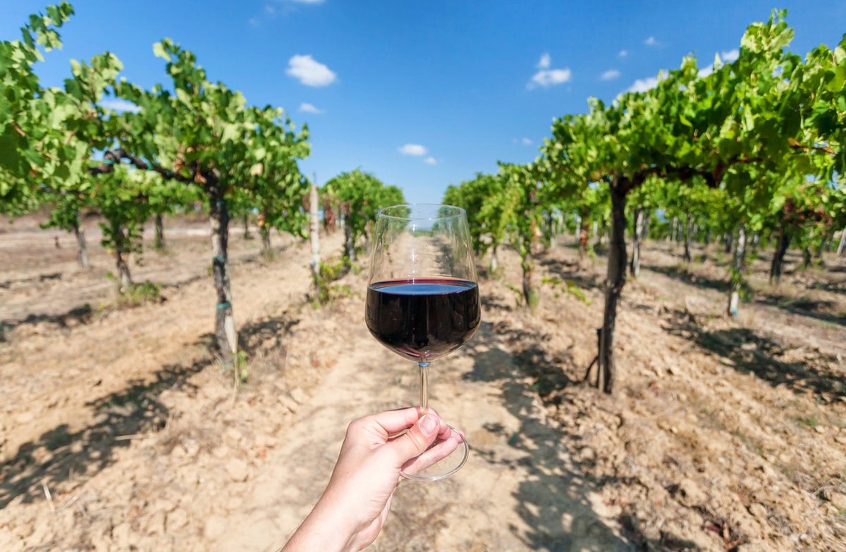 - Seven Days in Armenia, Where the Past Is Still in Everyday Use Vineyard, Areni, Armenia.