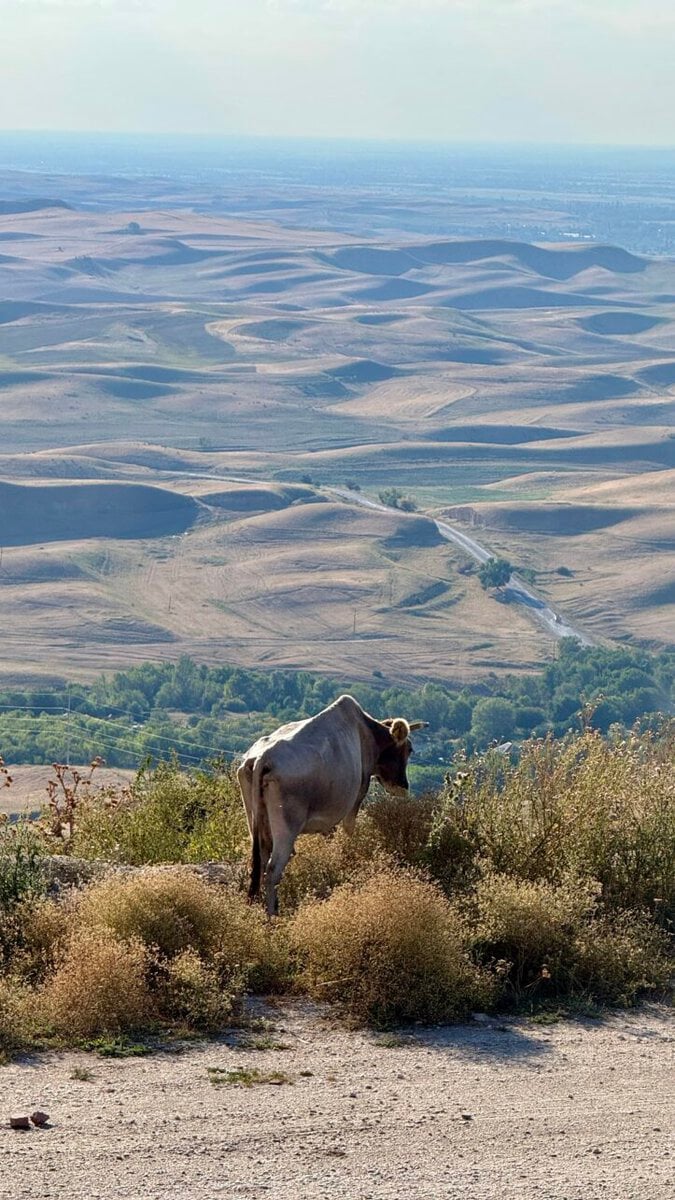 Zhetysu, Kazakhstan: Paragliding, Rafting and Dunes