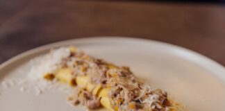 When the Tagliatelle Rains From the Knife: Learning Fresh Pasta Shapes in Florence
